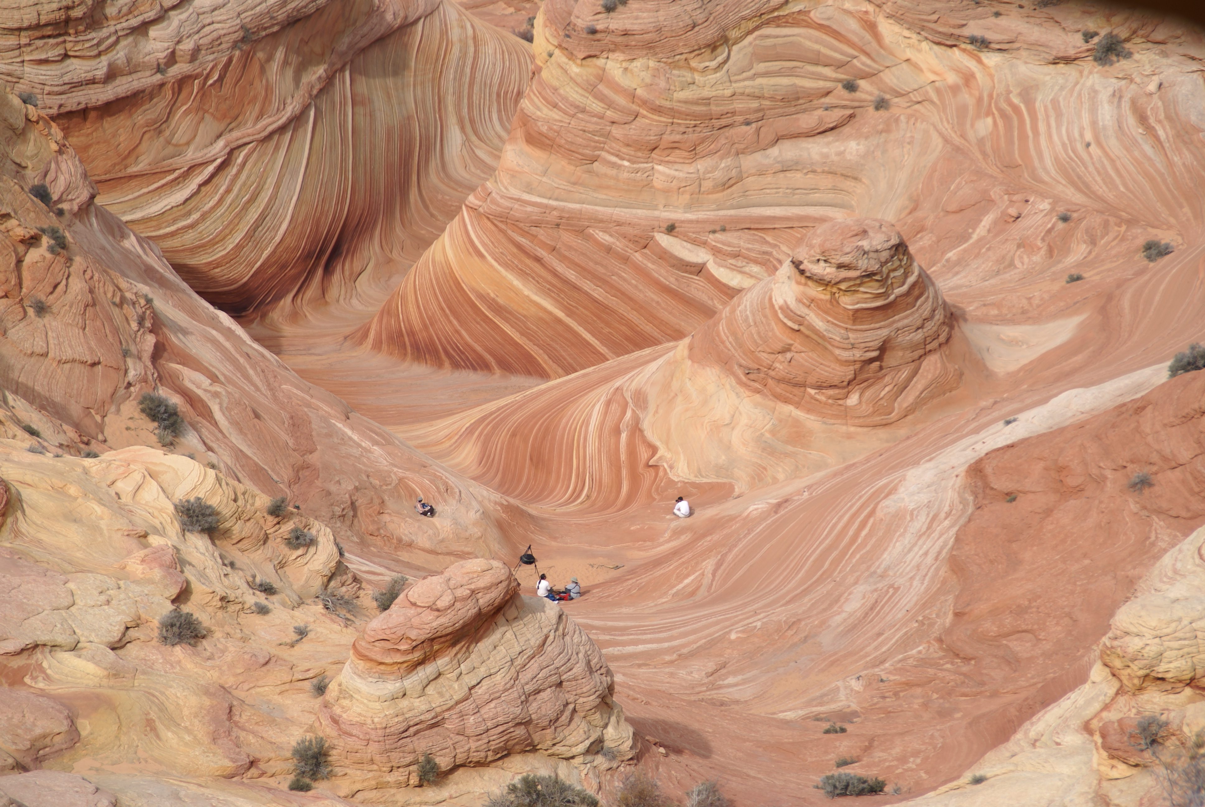 Coyote buttes permit areas are within a backcountry, undeveloped wilderness...