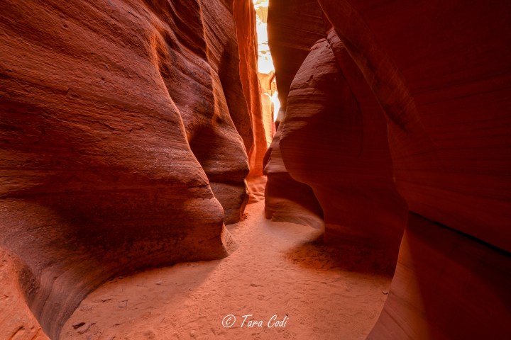 Narrow sandstone canyon with smooth, curved walls and light filtering from above.